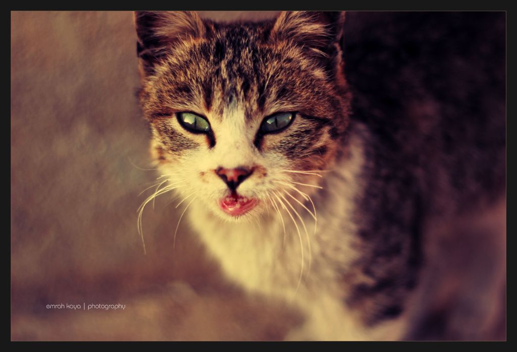 Bana yle bakma, anlayacaklar :)