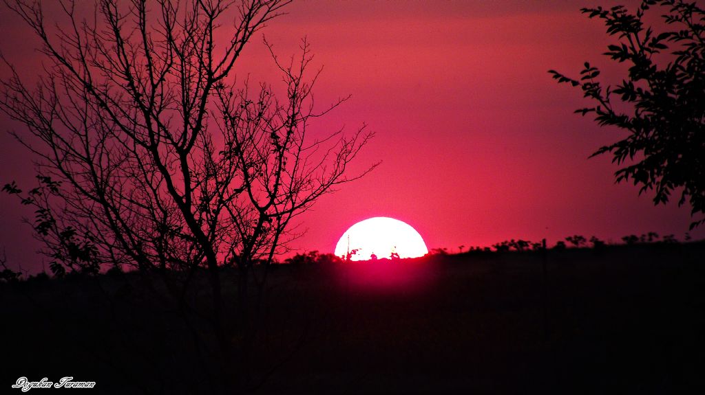 Bir G�n Daha Bitti...