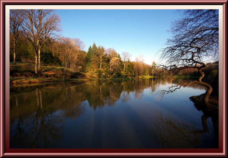 Atatrk Arboretum