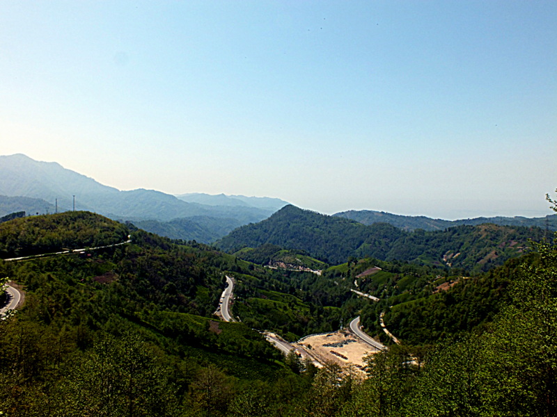 Cankurtaran Geitinden...