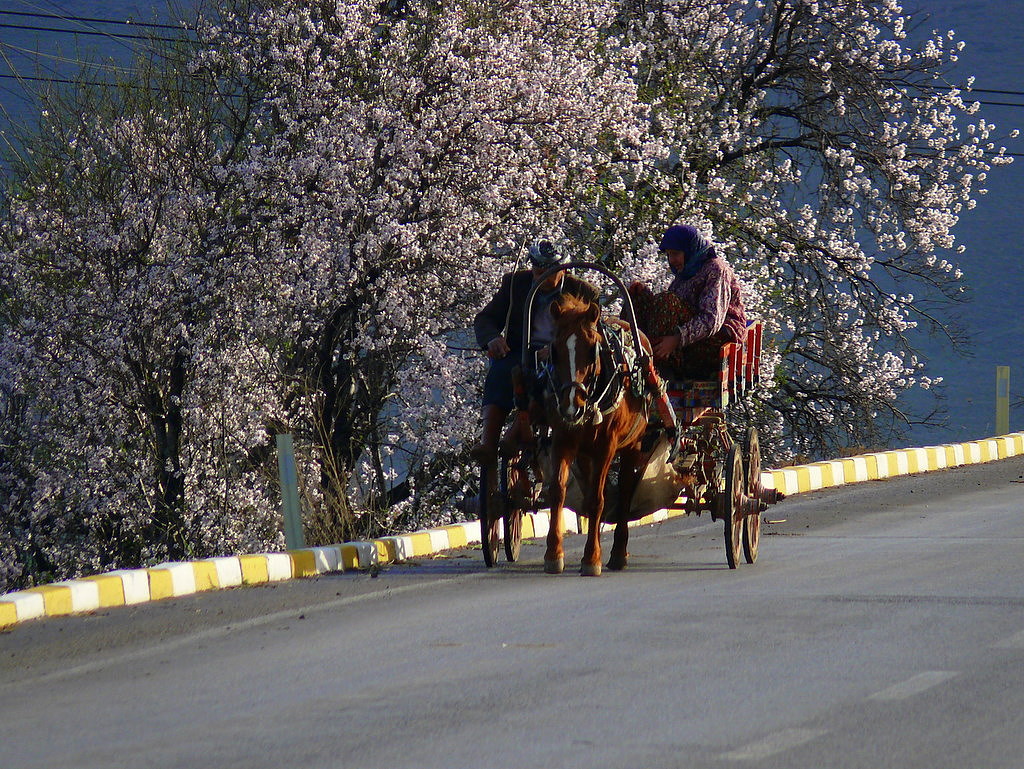 Yol Hikayesi