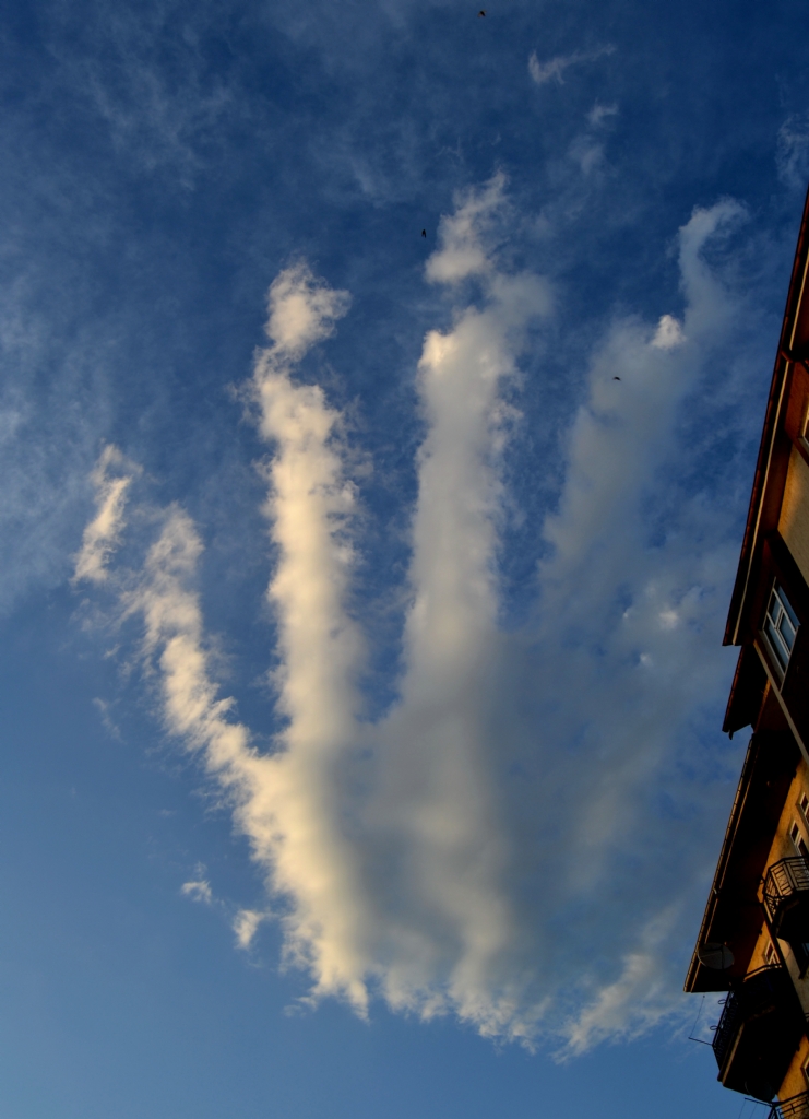 Emir byk yerden bizde durduk