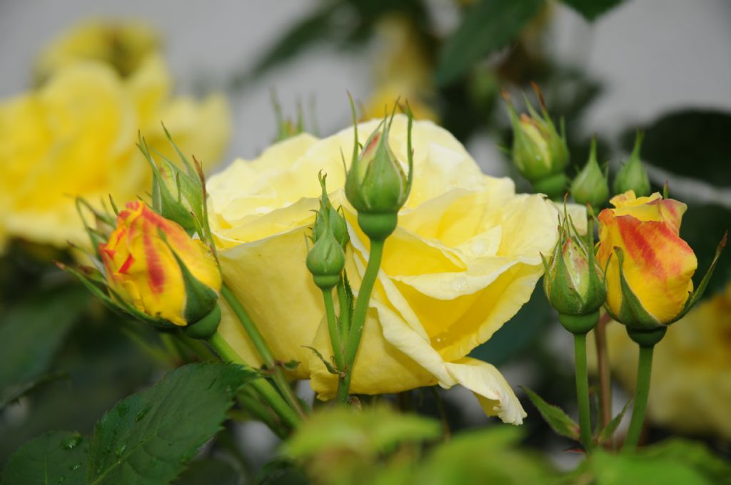 T�m Emektar Arkadaslara