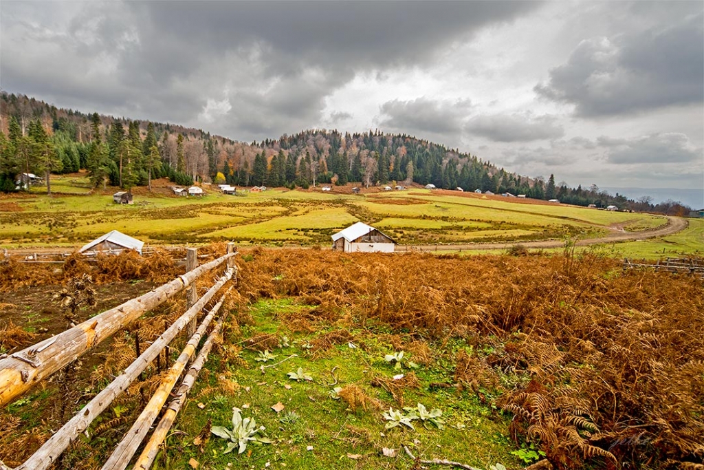 G�zellikleri'de karanl�k kaplar