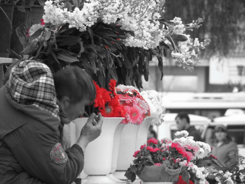 K�rm�z� elmaslar...