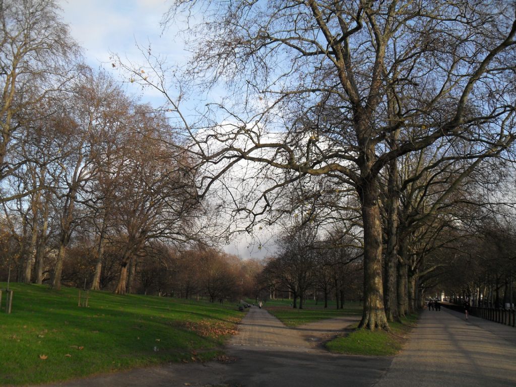 Tercih zaman... Hangi taraftan?