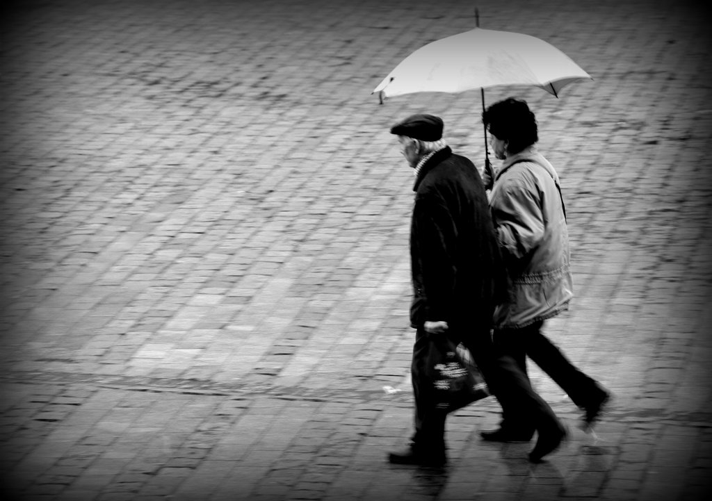 NCE SANAA KARI BRLKTE