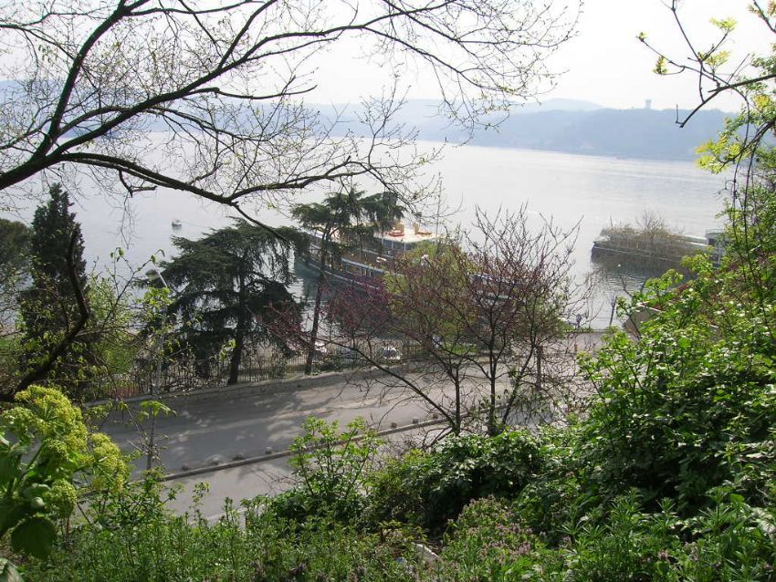 emirgan yokuundan boaz
