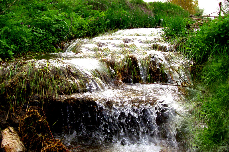 Ne G�zeldir Memleketim