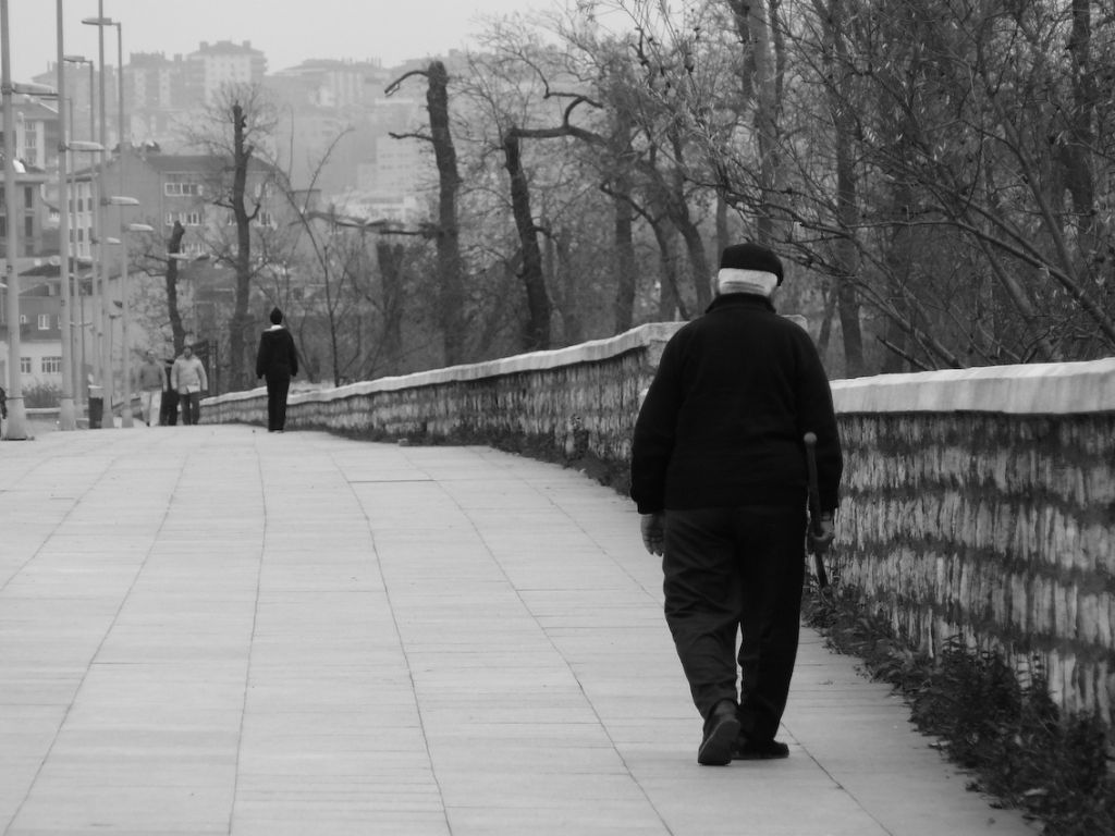 Bir kaldrm bir yal adam