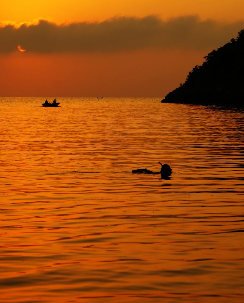 dalg�� ve bal�k��lar