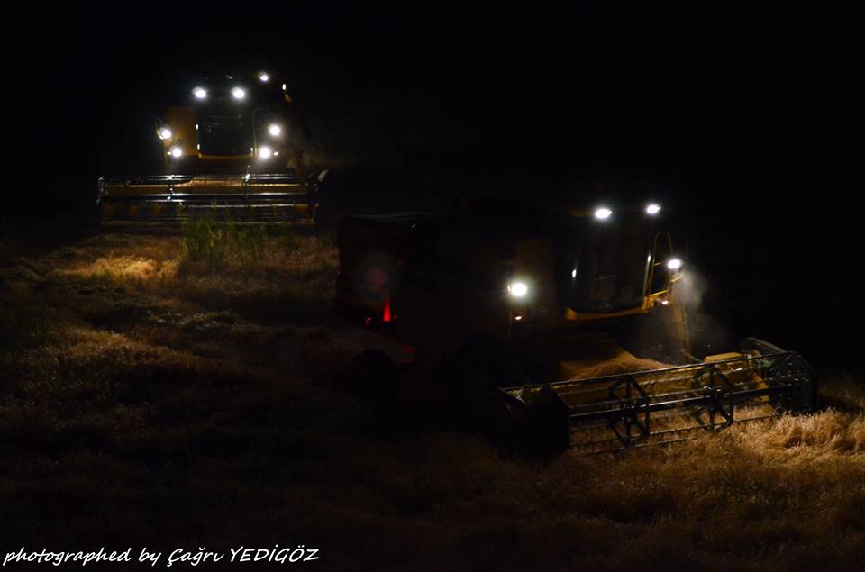 bi�erd�verler...