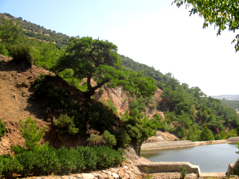 Homeros vadisi, zmir