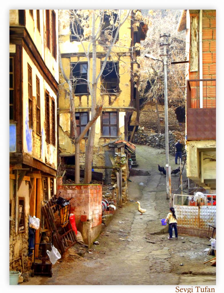 ingene Mahallesi ...