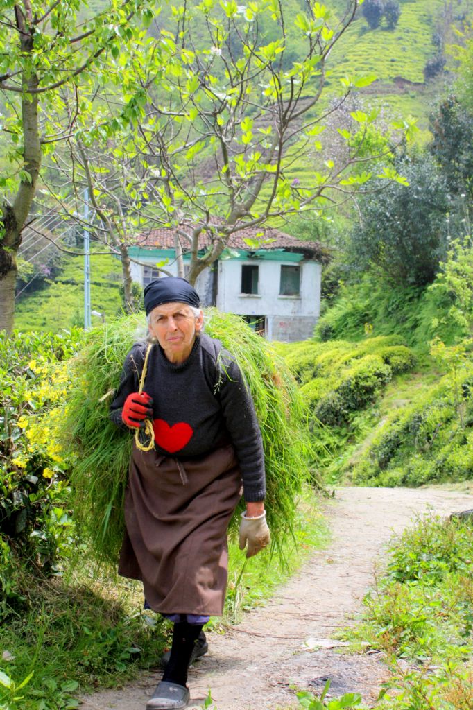 rize-emek