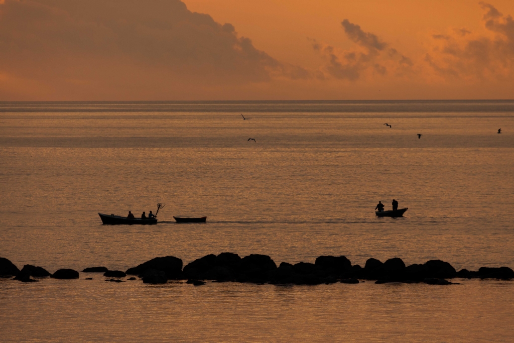 G�n�n Getirdikleri