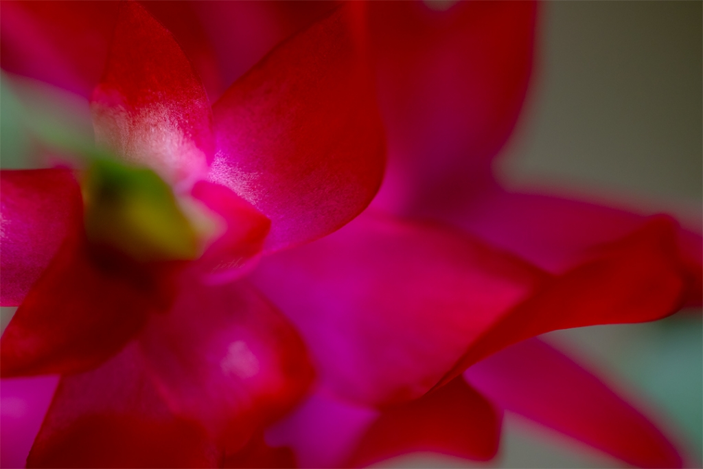 Sab�rla yo�rulmu� g�zelliklere.....