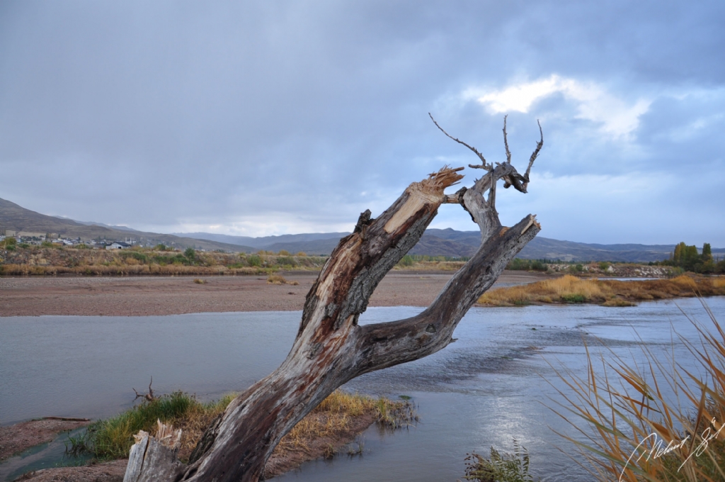 Y�k�lmad�m ayaktay�m