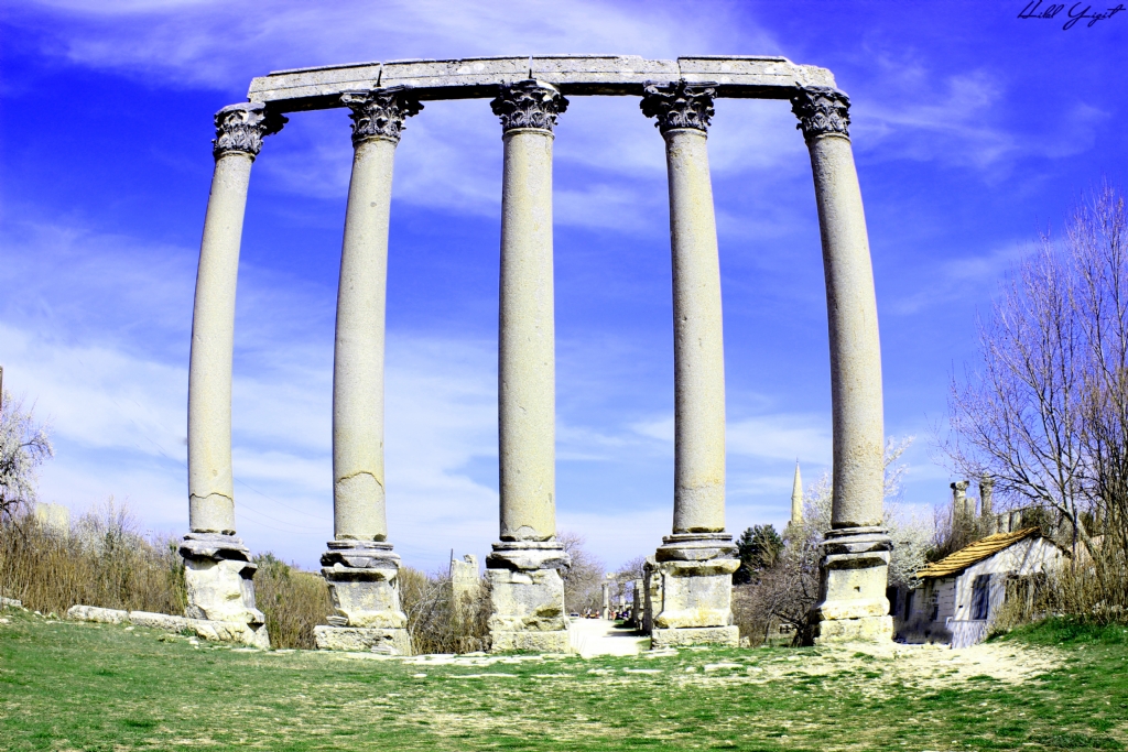 �ans Tap�na��