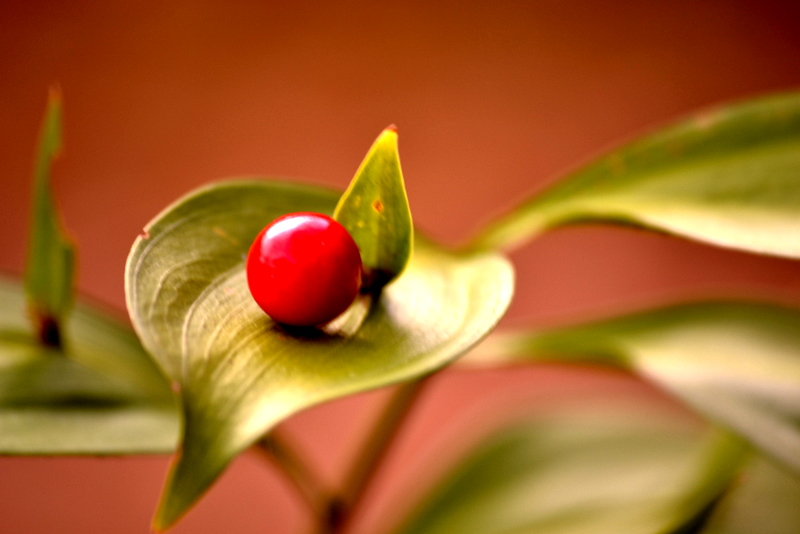 d��lerden esintiler