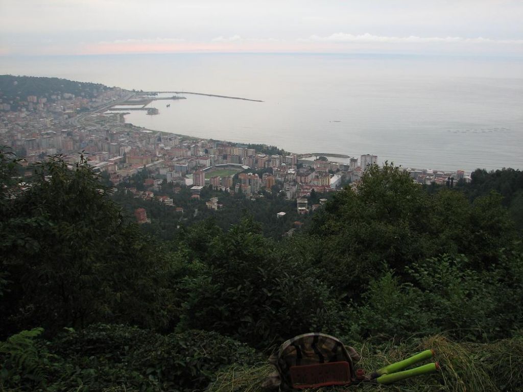 rize....