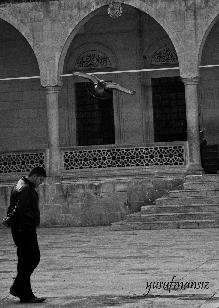 gnlmdesin nazl dilber