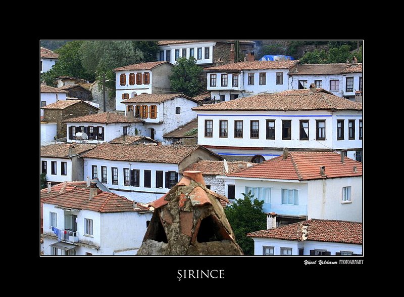 irince 2