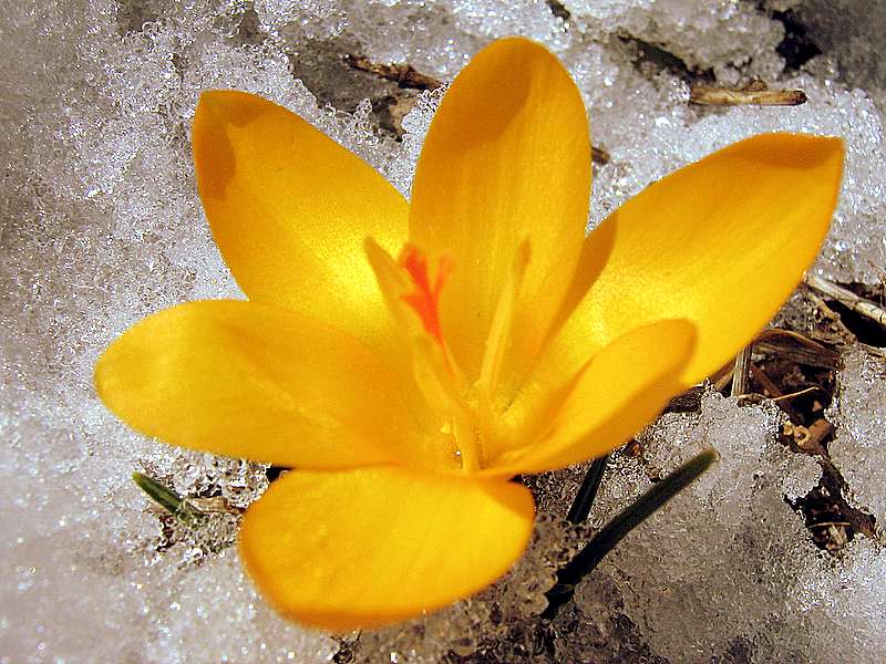 sunaturk ablama ithafen