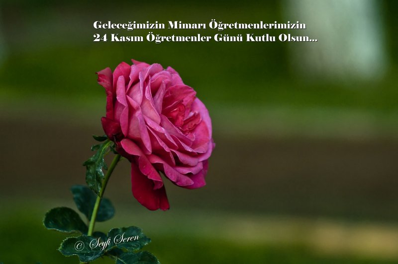 � � r e t m e n l e r i m i z e . . .