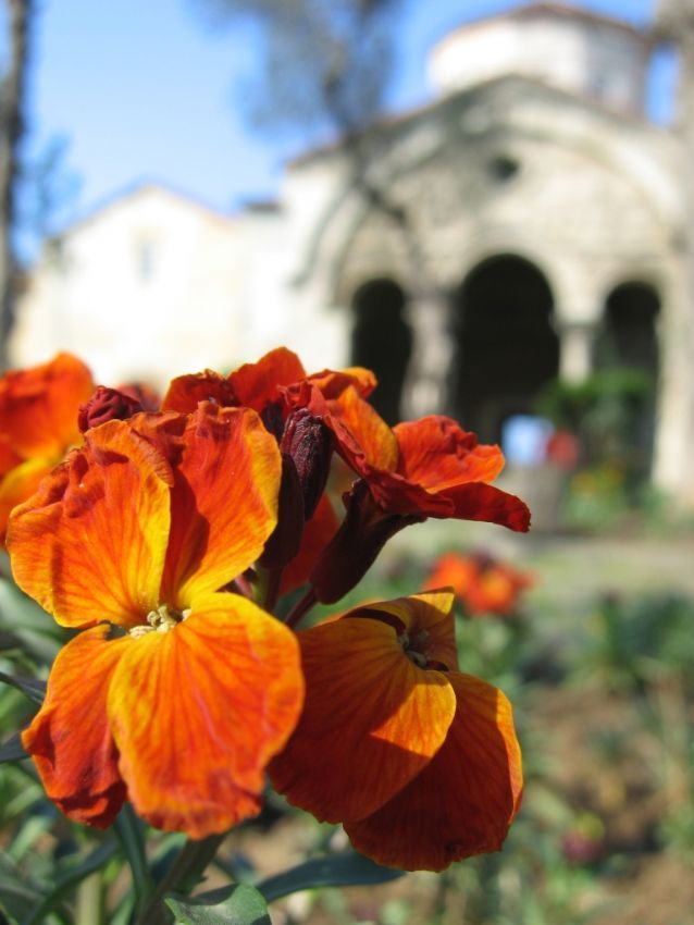 glmser gibiydi .. bende lmszletirdim