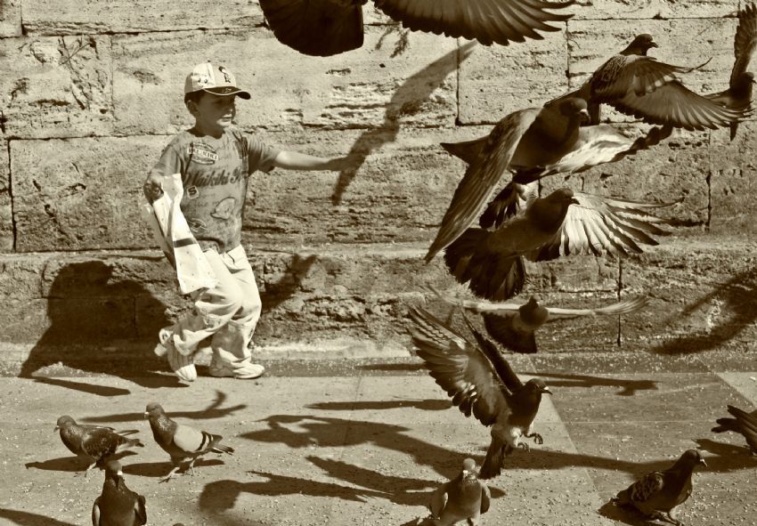 hem besliyorlar hem kovuyorlar anlamad�k ya!