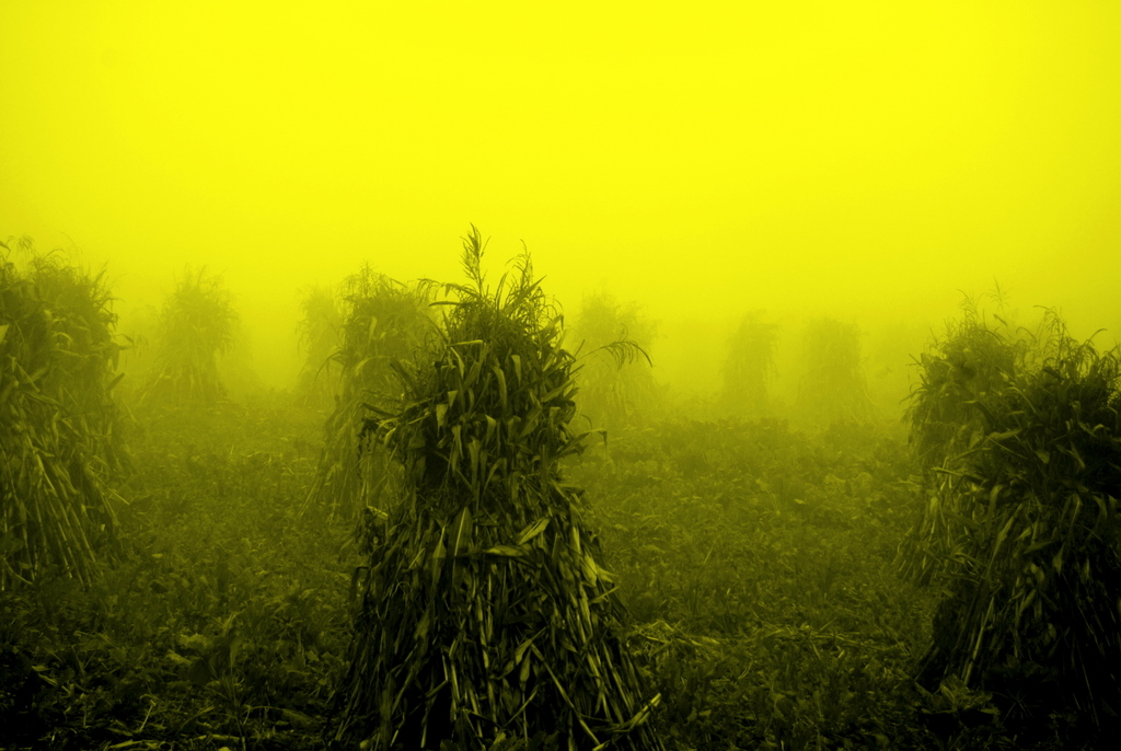 HORUM NED�R B�L�YORMUSUNUZ ???