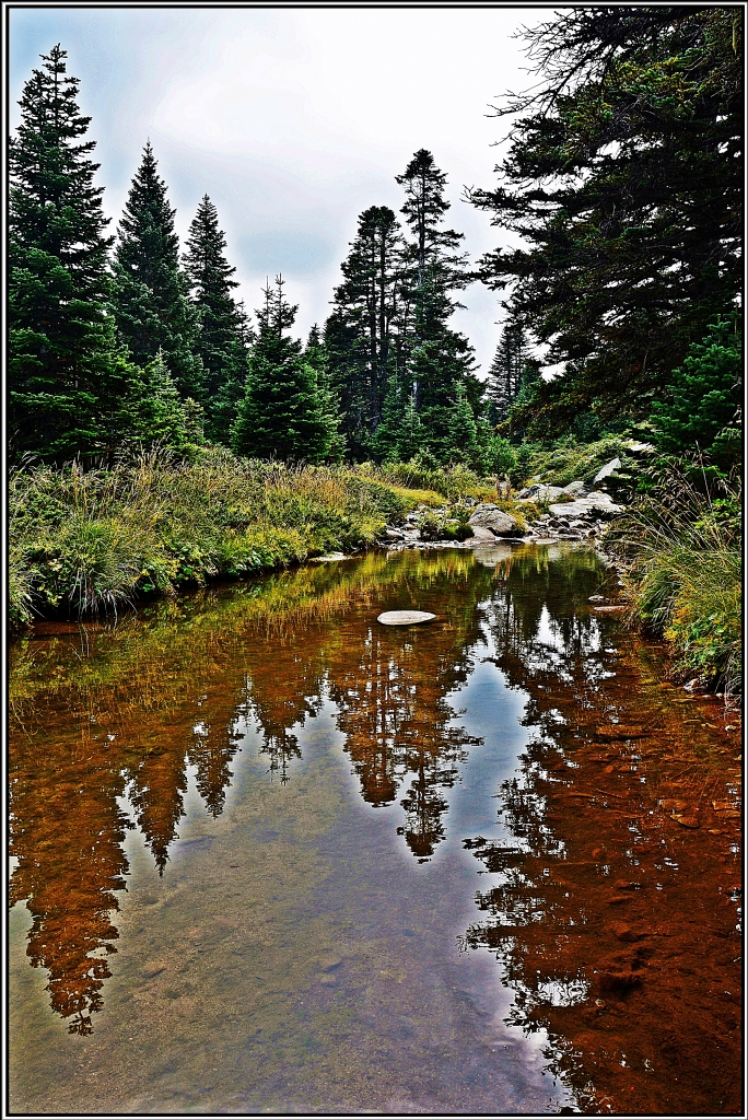 obankaya-uluda / BURSA