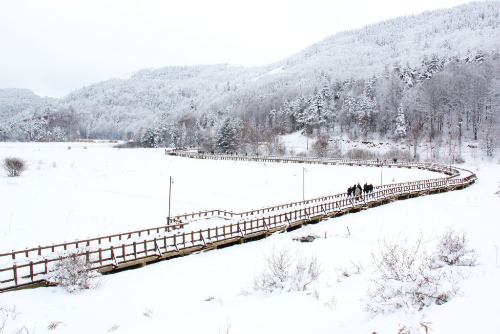 uzun ince bir yoldaym:)