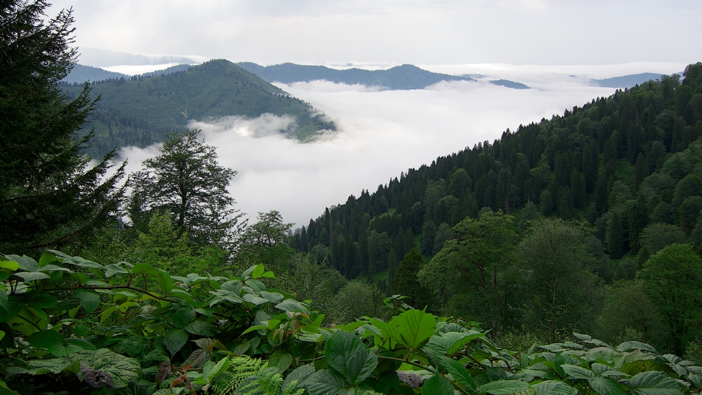 Karadeniz-Gito yaylas� ��k���