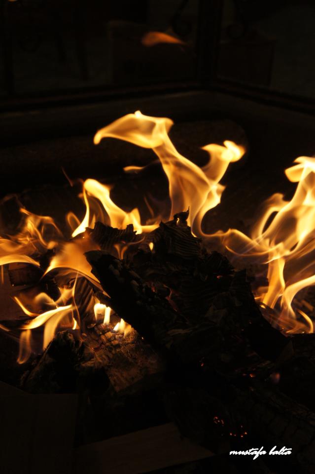 Ate seni aryooooooooo