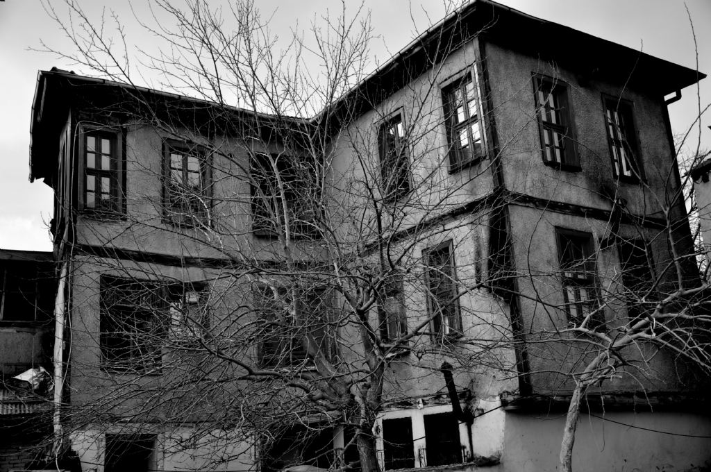 kuru dallar arasnda.....