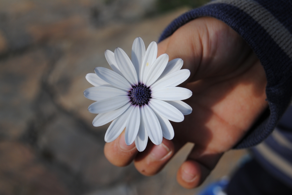 sevgiye uzanan eller...