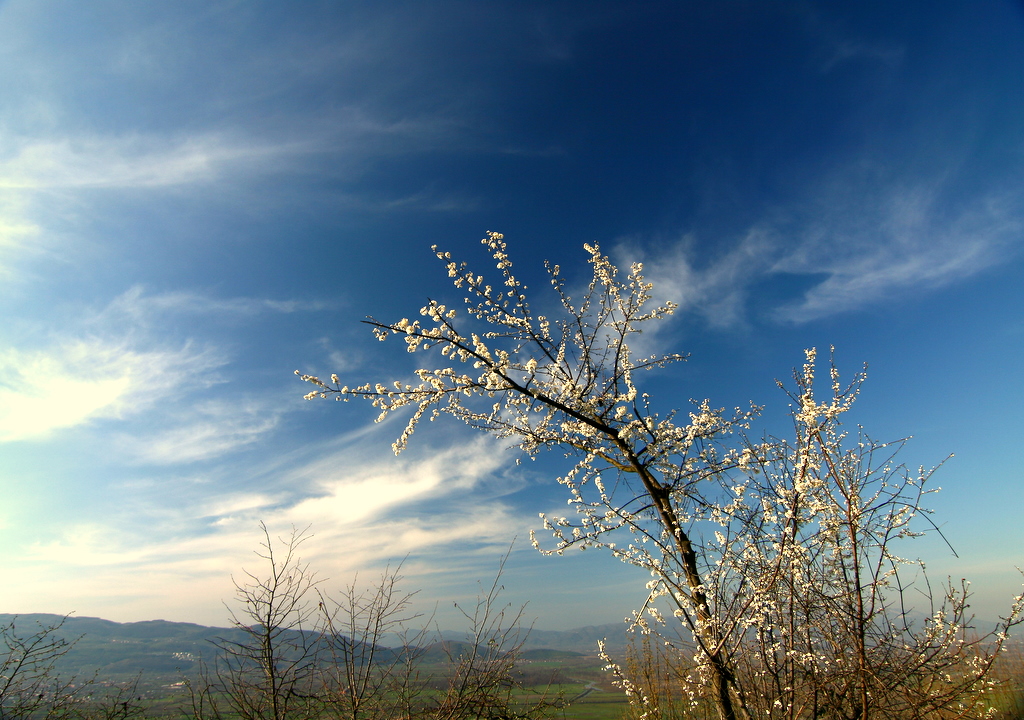 bahara merhaba