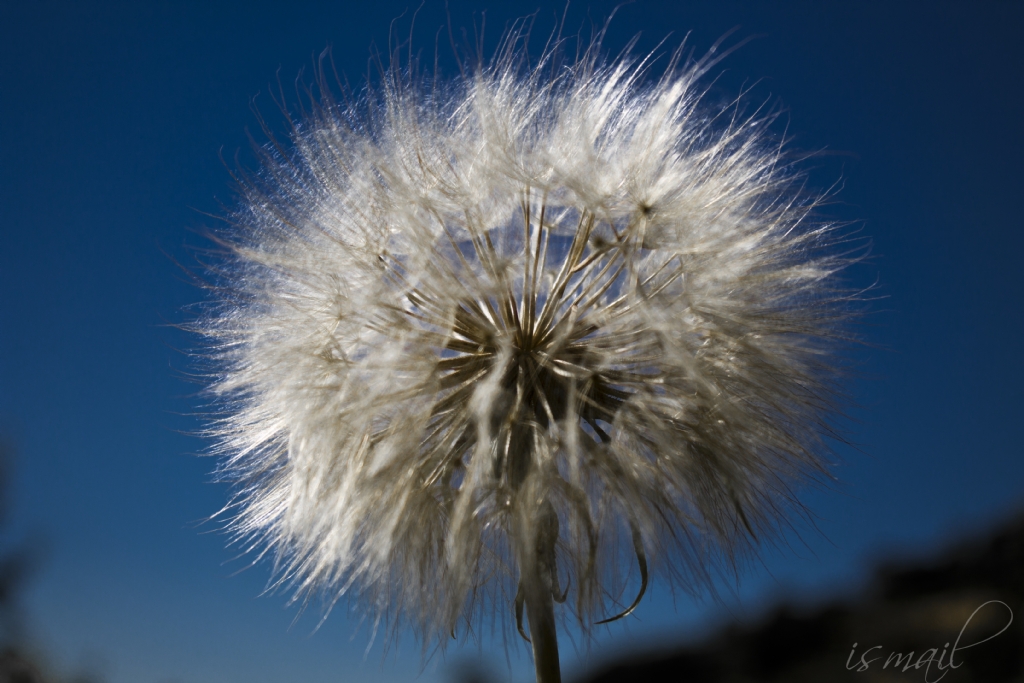 da��lmadan son hali