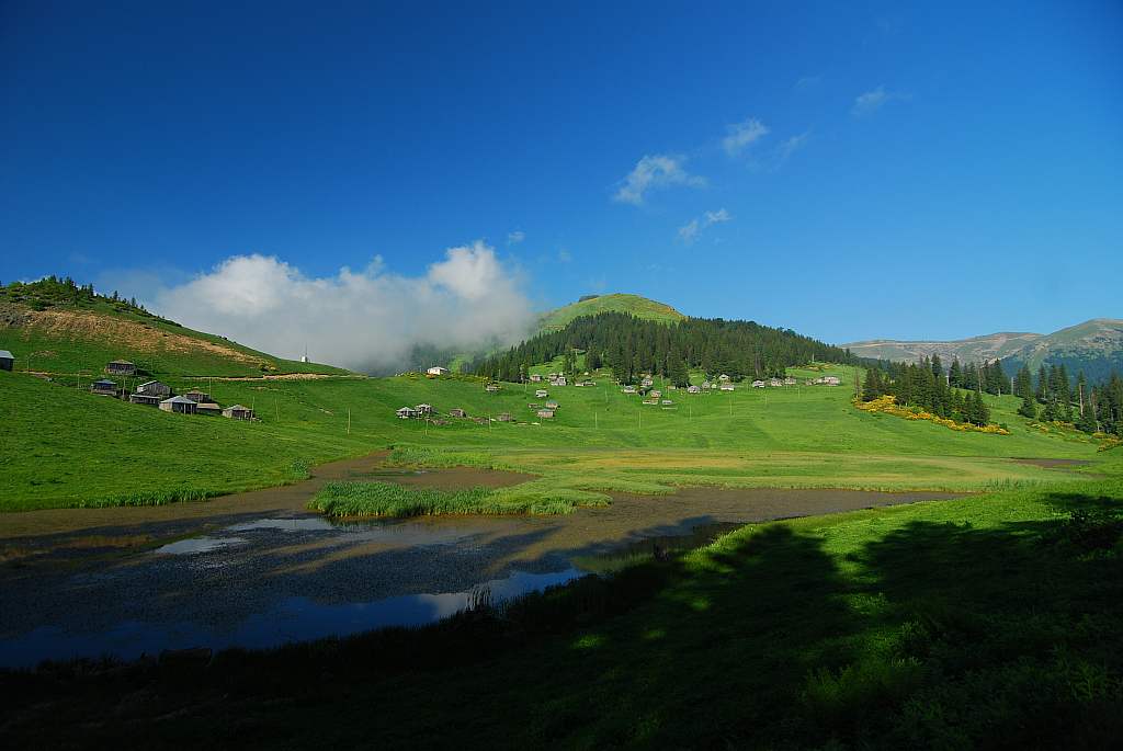 giresun glyan yaylasndan bir grnm