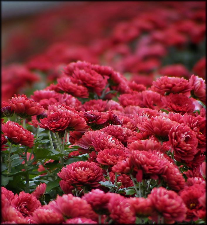 ��RETMENLER�M�ZE...