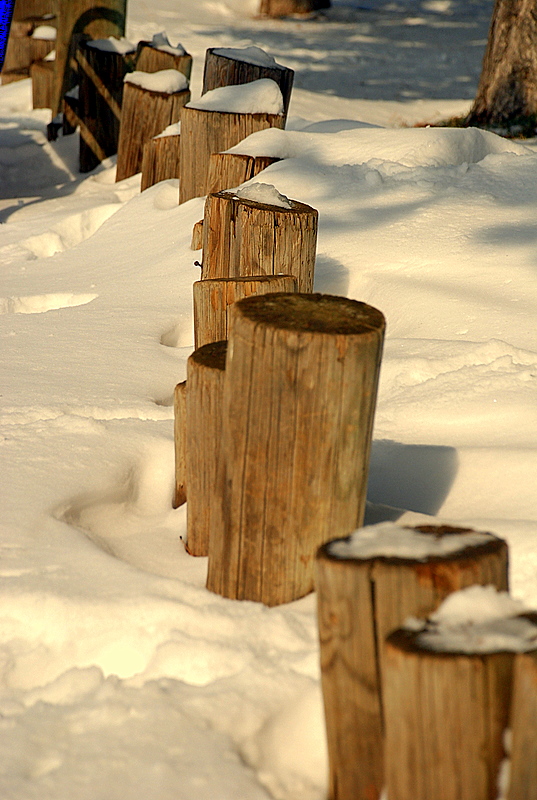 karlar aras�nda...