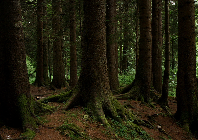 ocuklar gibi endik-4