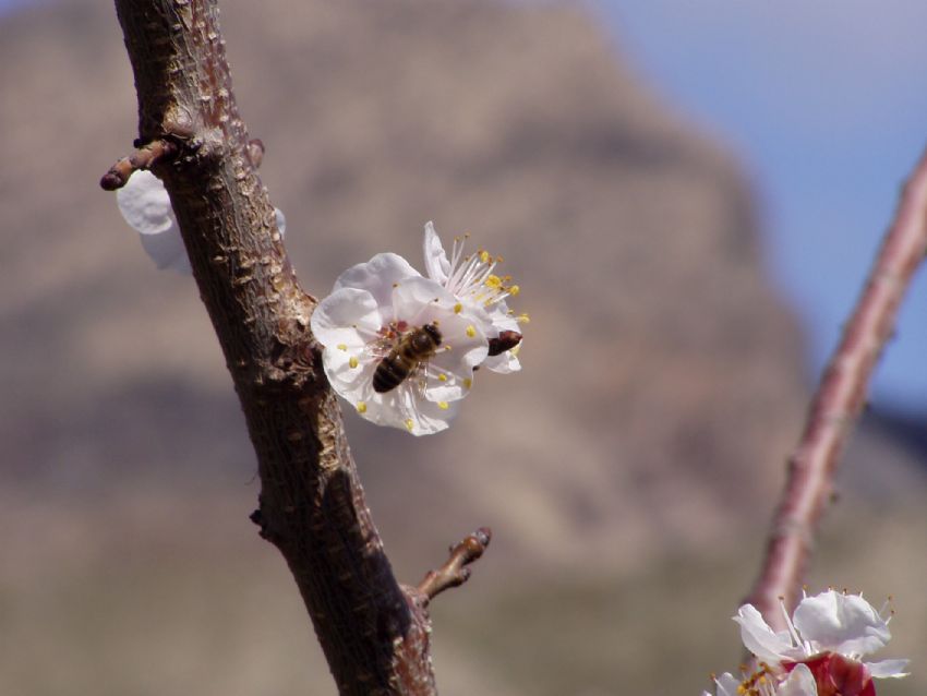 Bir k daha geti mrden.