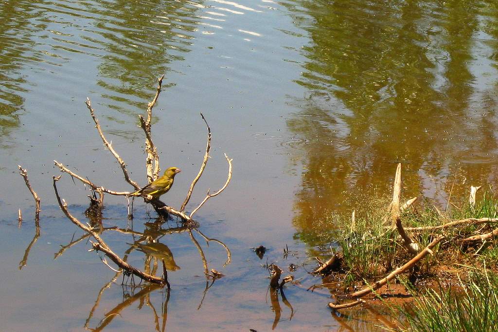 Florya olsa gerek...