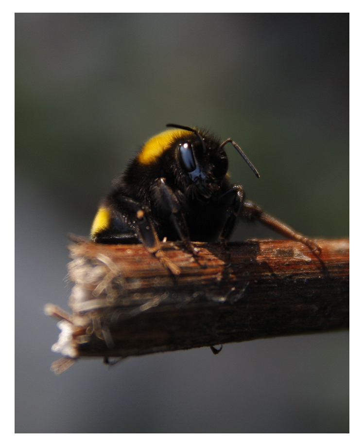 bir bak��...bir nefes