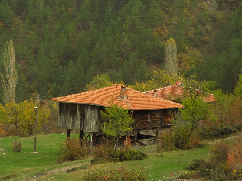 sinop kirenlice yaylas� 