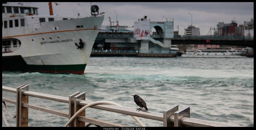 Galata