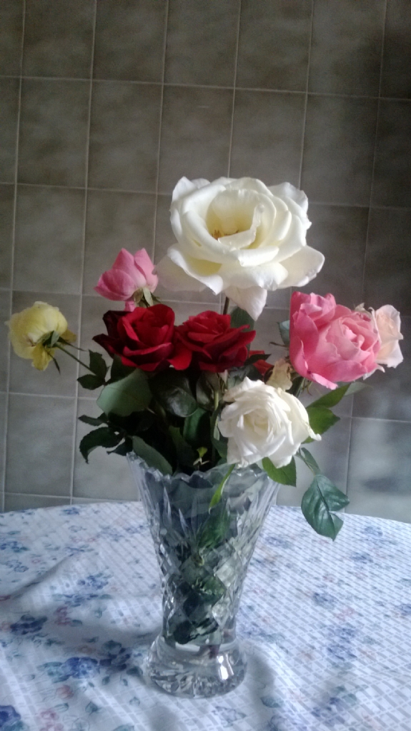 Kas�m g�lleri -2